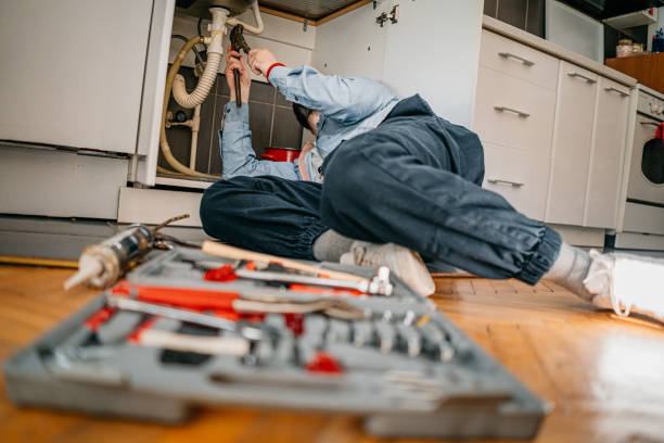 Best Plumbing Repair Near Me  in Lake Delton, WI